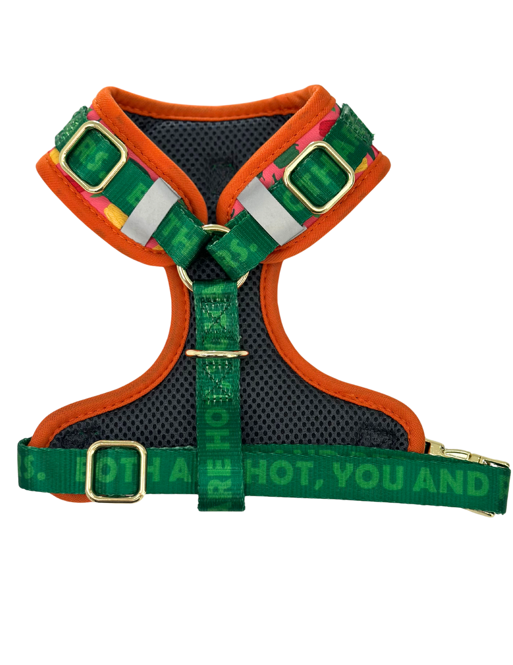 Ajustable Dog Harness no pull, Caribeño, green / coral