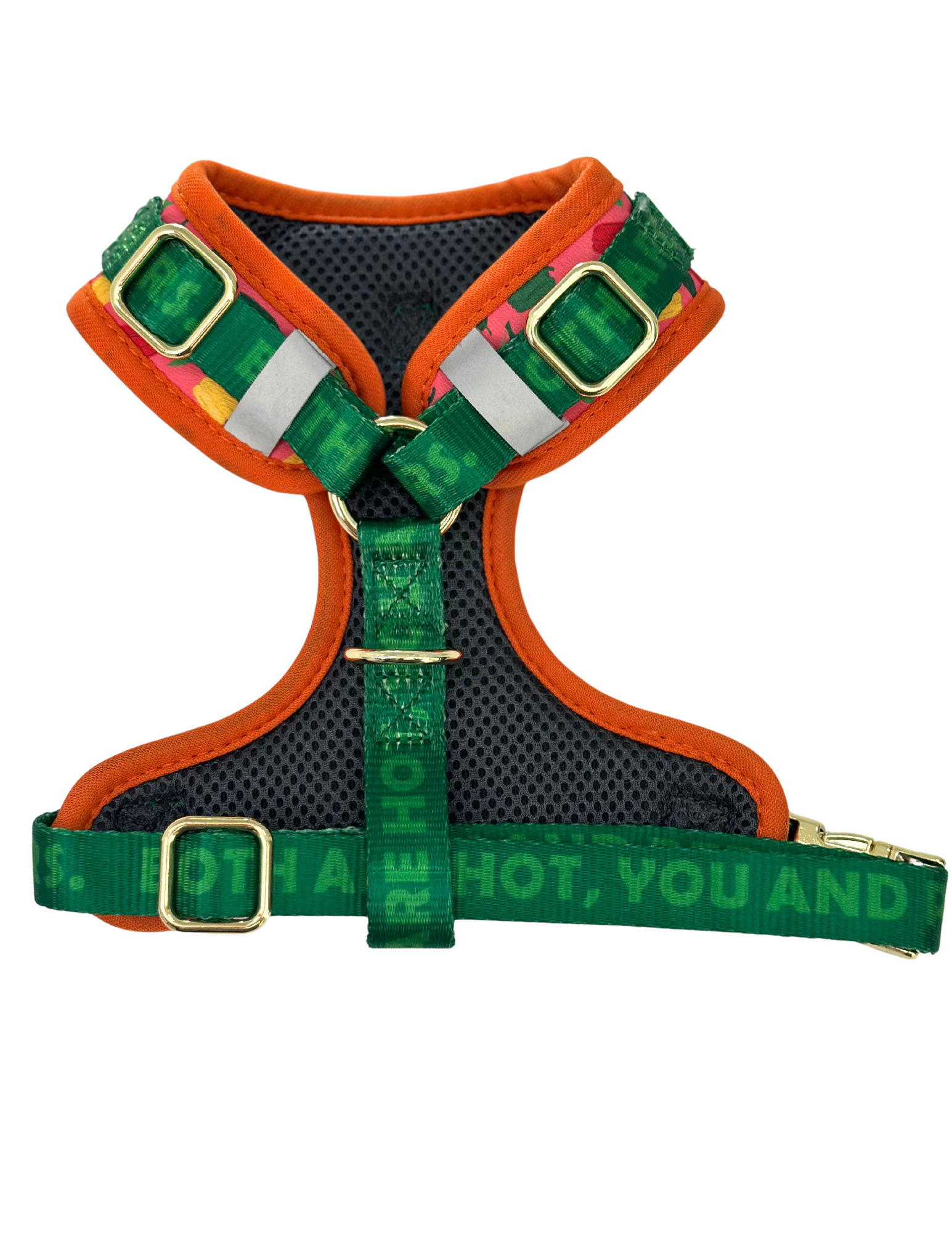 Ajustable Dog Harness no pull, Caribeño, green / coral