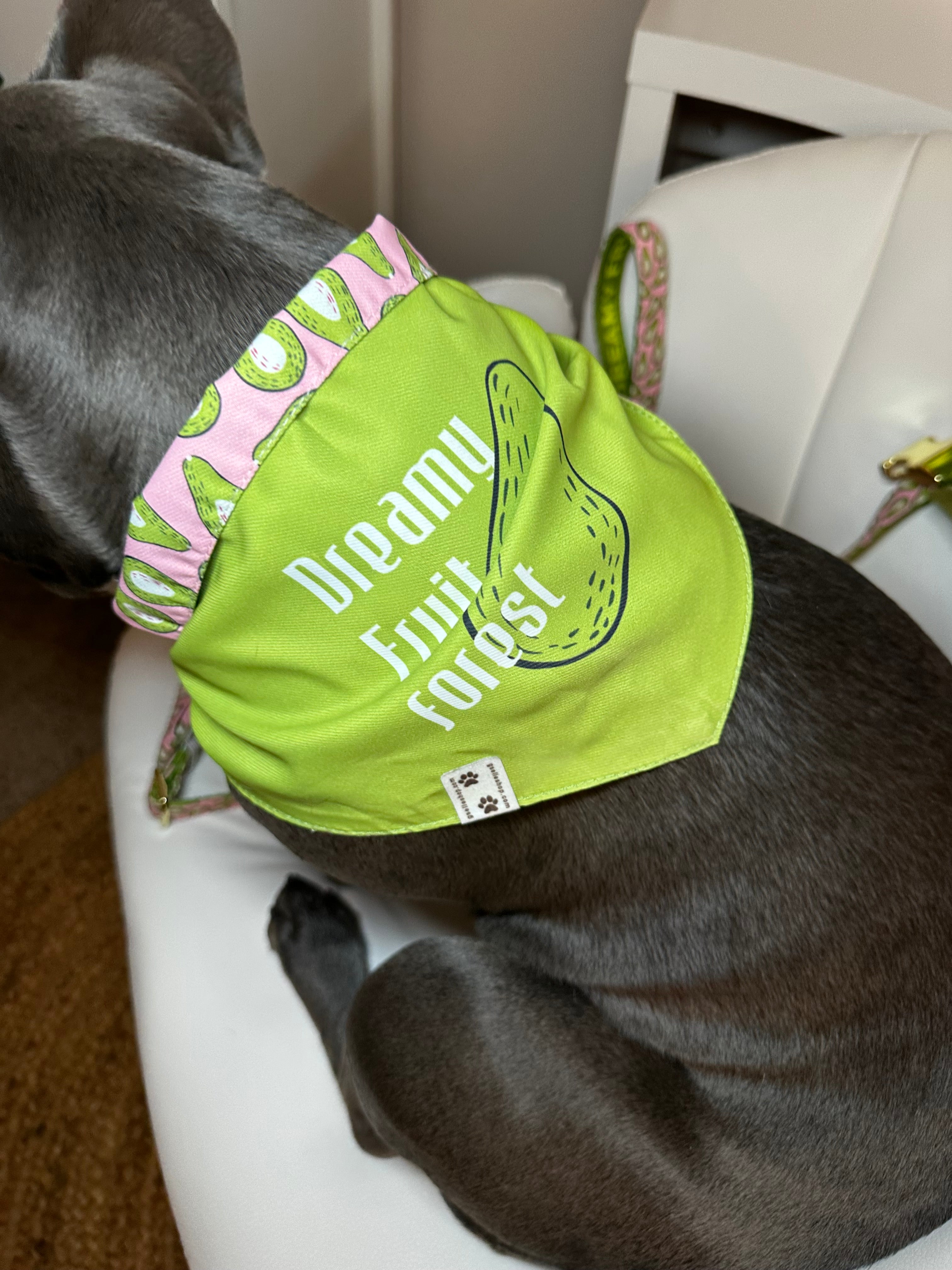 Dog Bandana double Side, Pink / Green, Avocado Toast