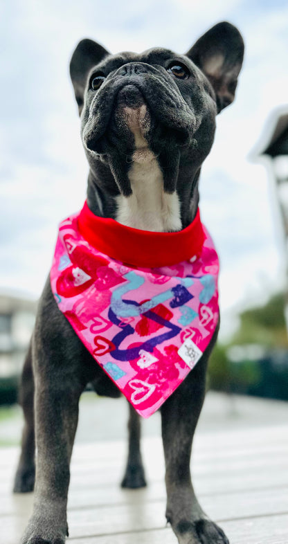 Reversible Slip-on Pet Bandanas