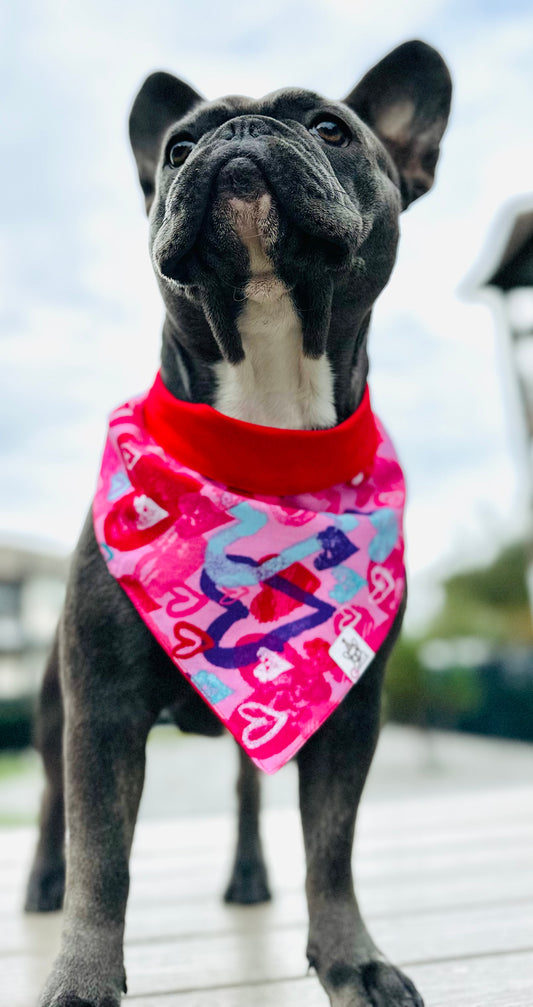 Bandanas (Reversible)