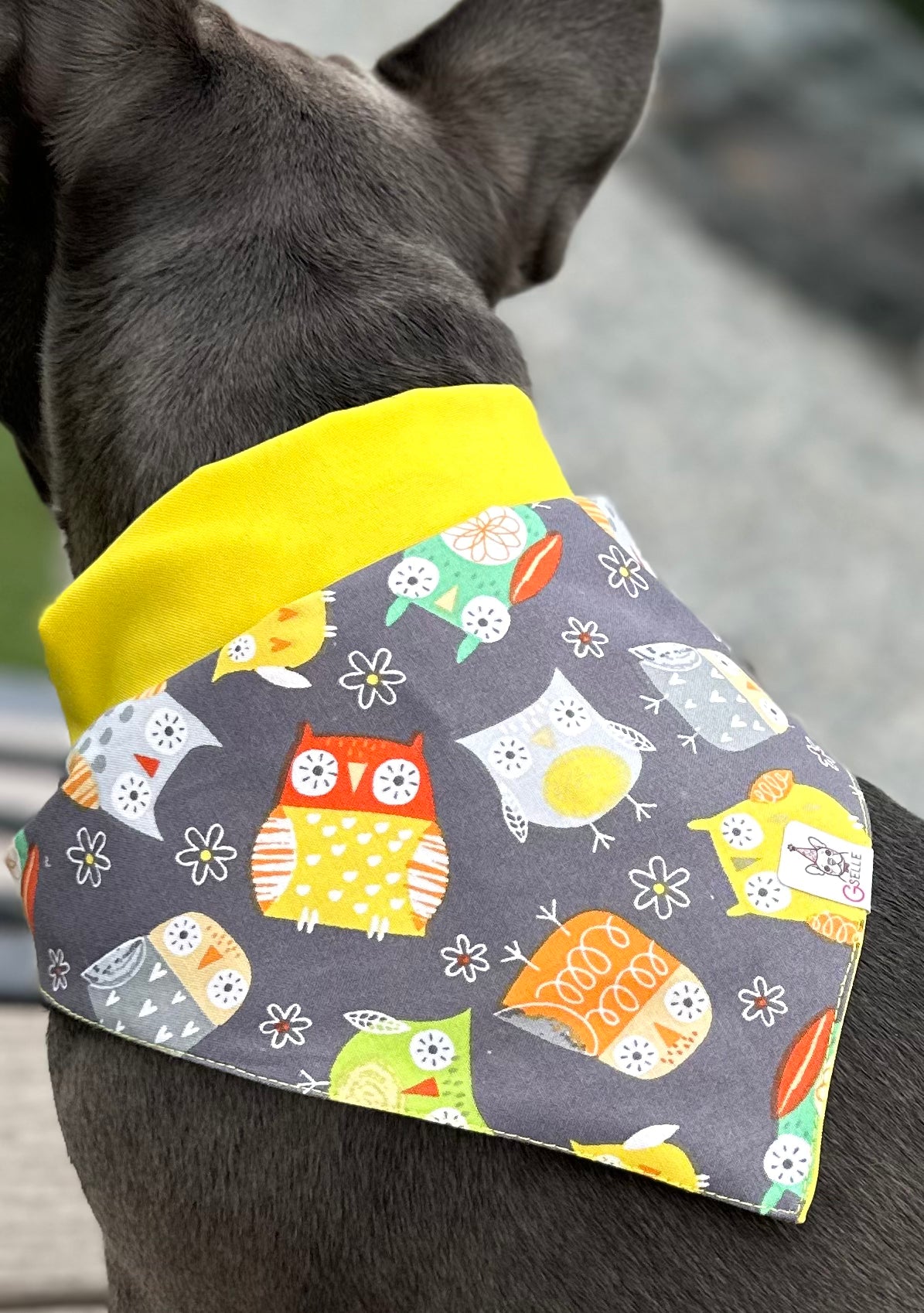 Bandanas (Reversible)
