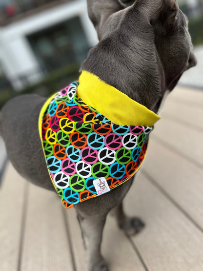 Bandanas (Reversible)