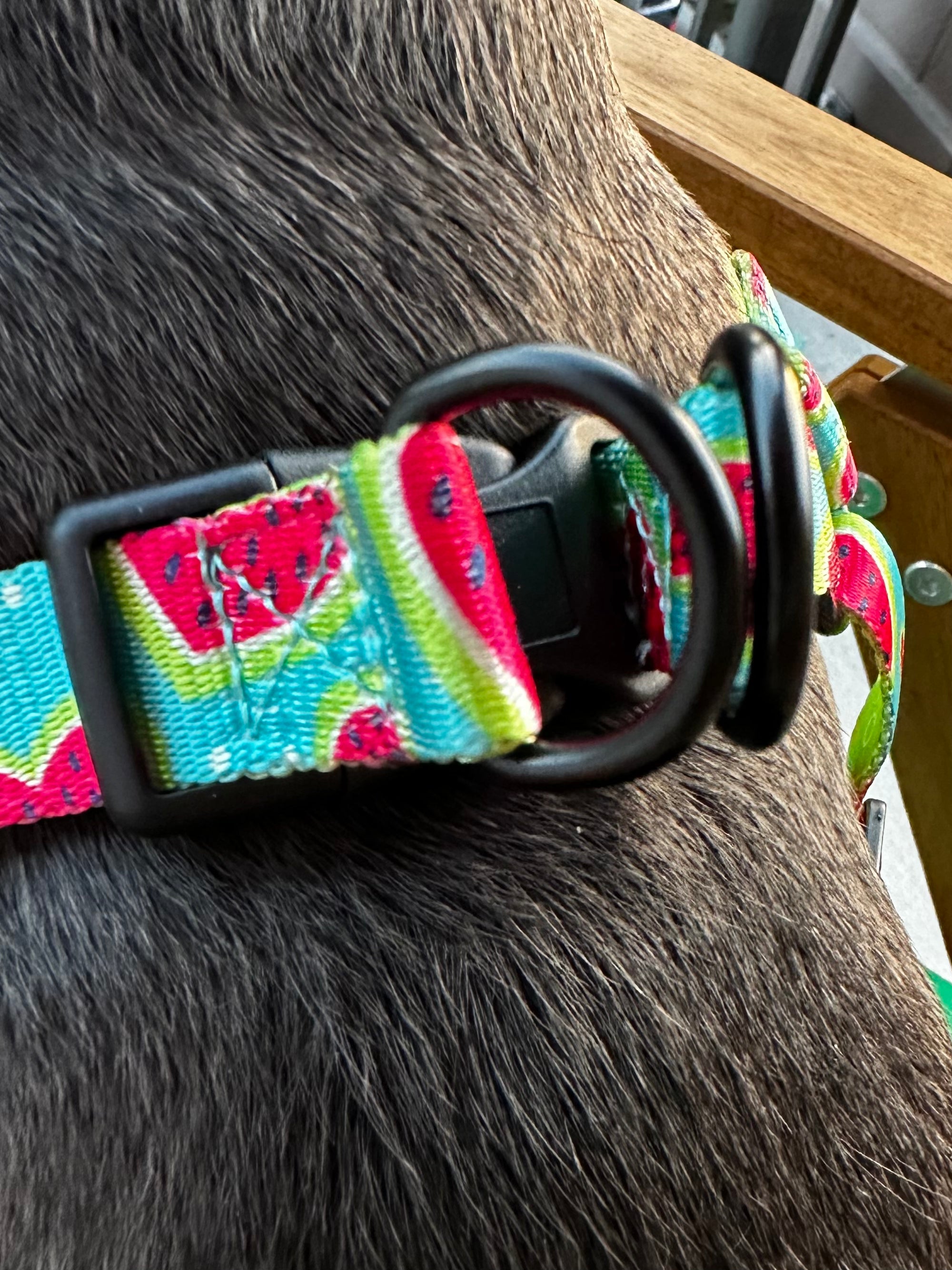 Melon Heart Dog Harness