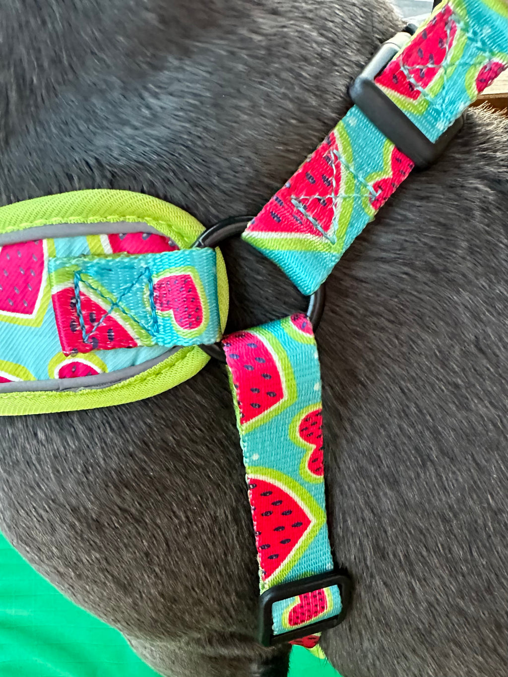 Melon Heart Dog Harness