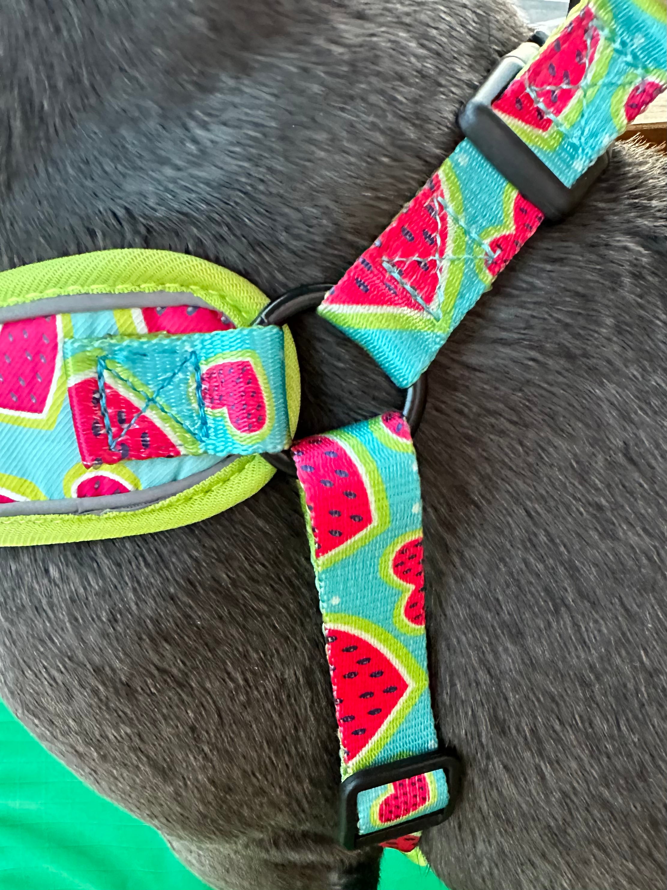 Melon Heart Dog Harness