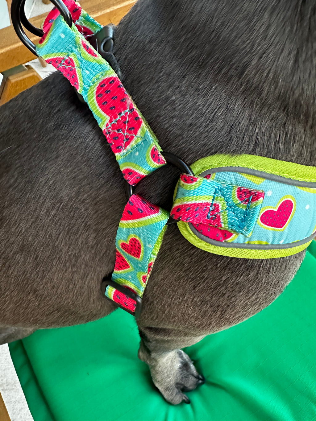 Melon Heart Dog Harness