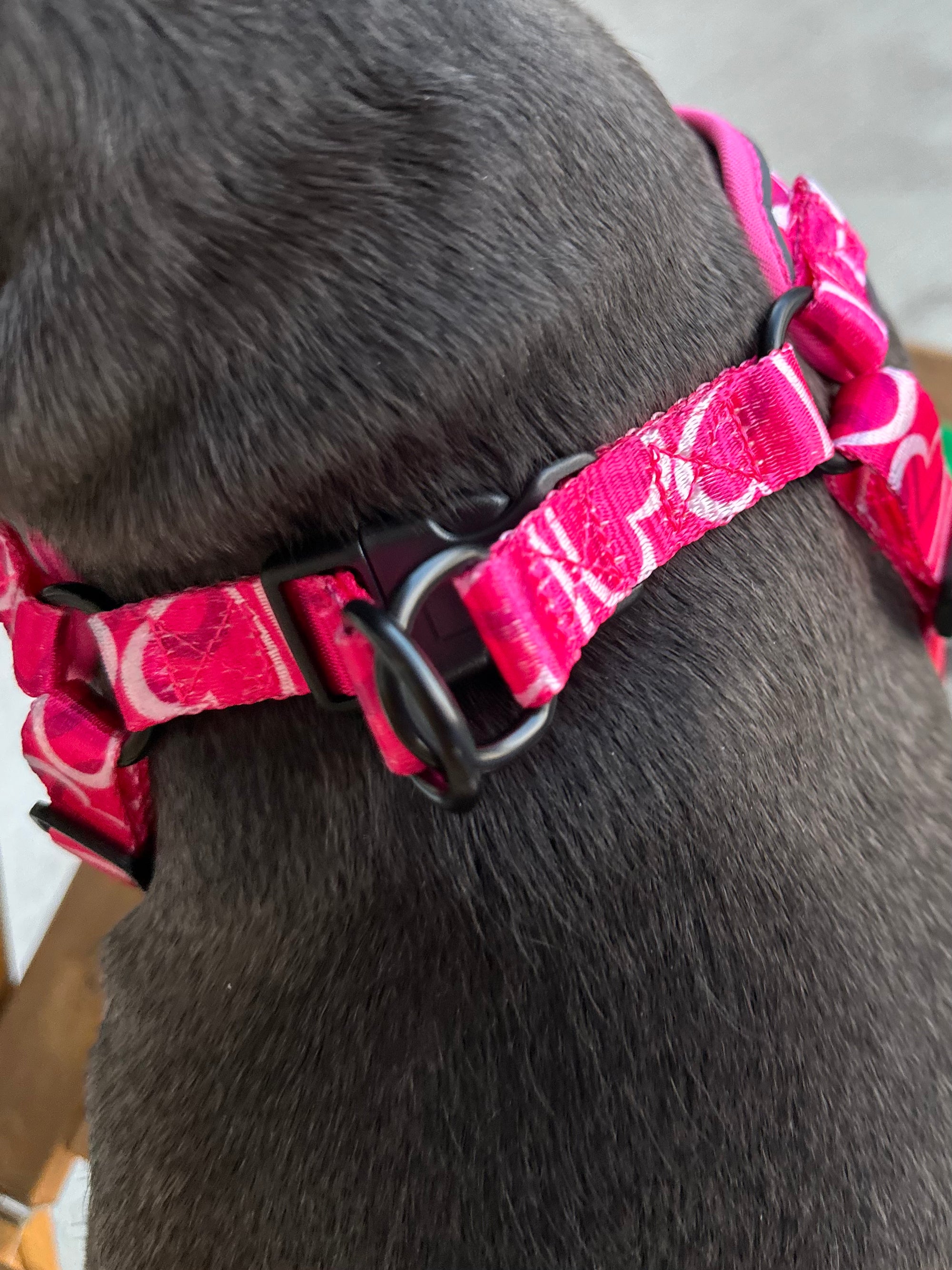 Sweetheart Dog Harness