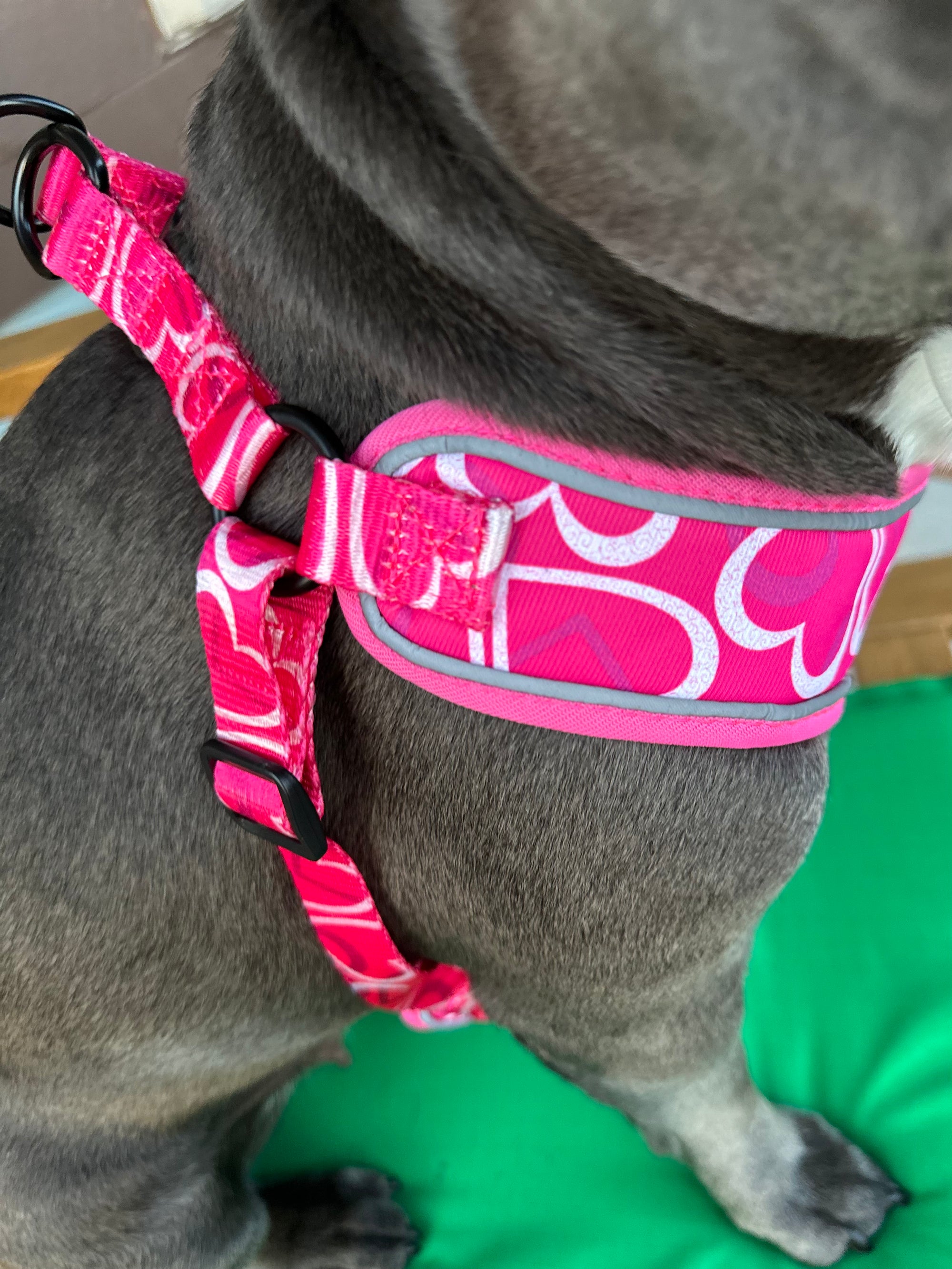 Sweetheart Dog Harness