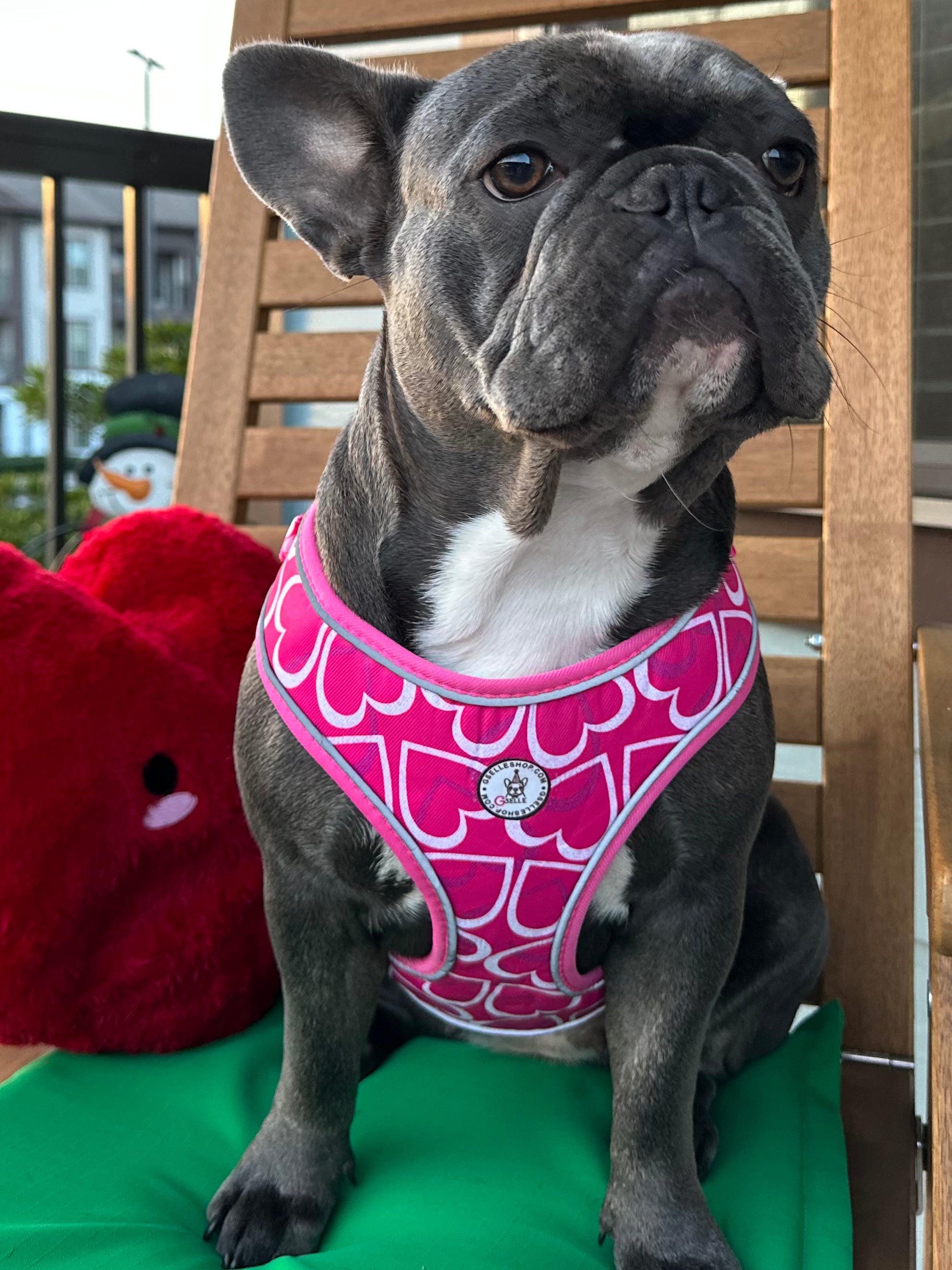 Sweetheart Dog Harness