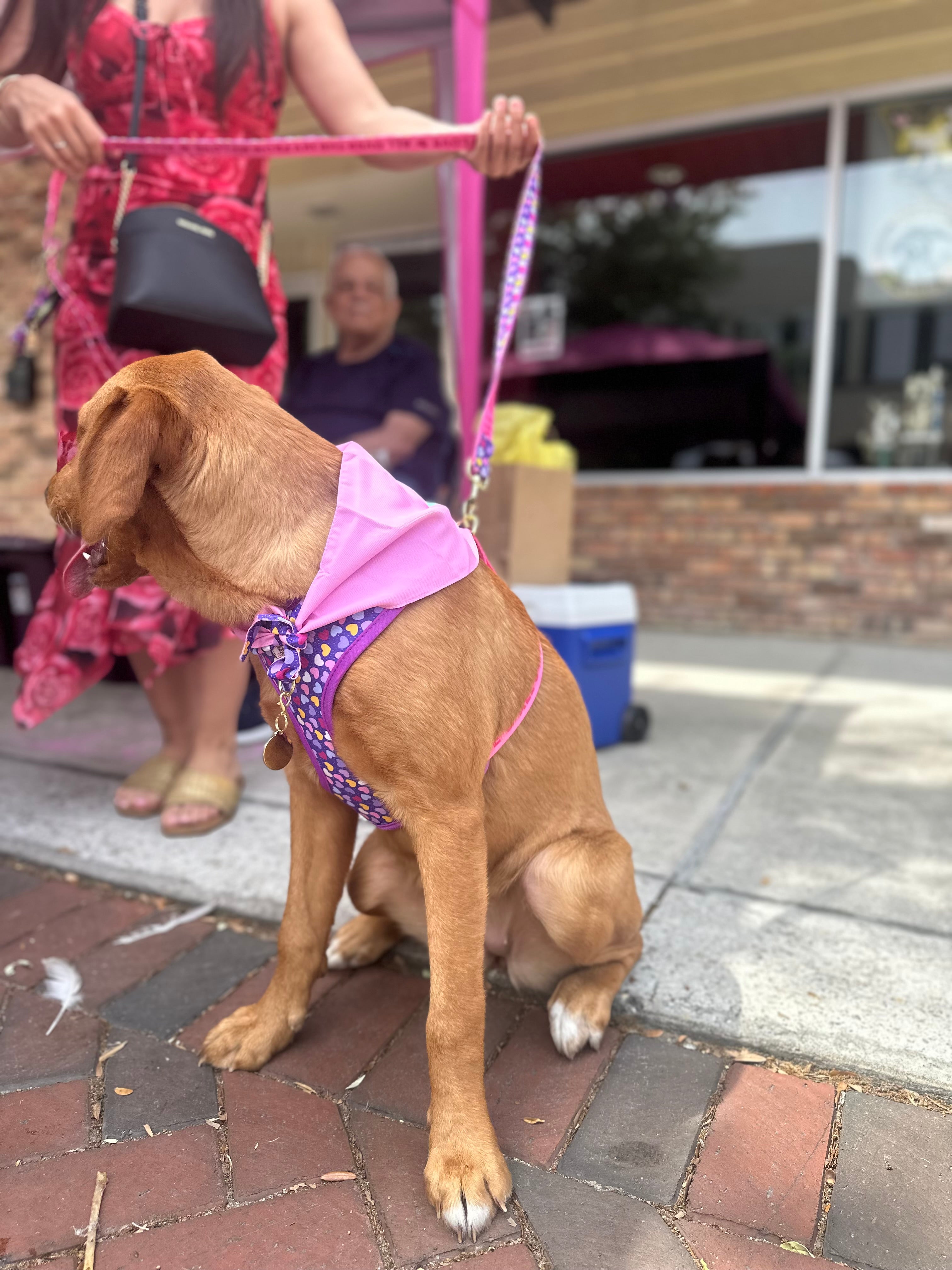 Dog Bandana double side, pink / purple, Amor de Verano