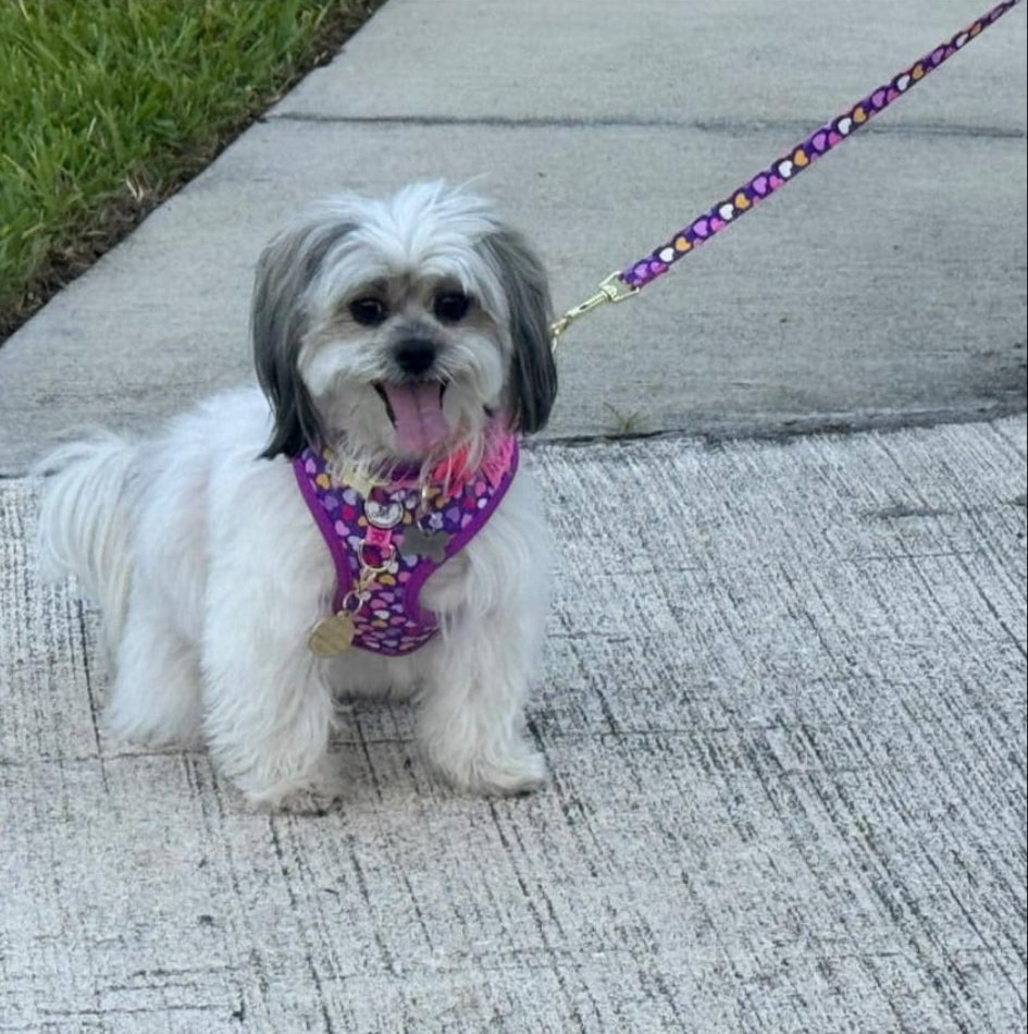 Gigi Collection Dog Leash