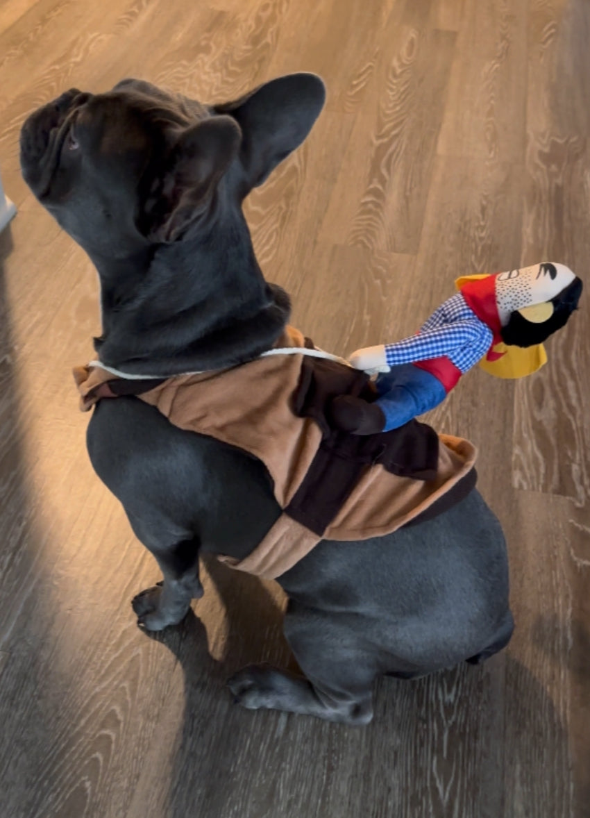 Ride into Halloween Fun with Our Pet Cowboy Costume! 🤠🎃
Turn your furry friend into the star of the night with this adorable cowboy-on-top design — perfect for parties, photos, or trick-or-treating adventures. Whether your pup is trotting through the neighborhood or stealing the show at a costume contest, this outfit will have everyone saying “Yee-haw!” 🐾✨
