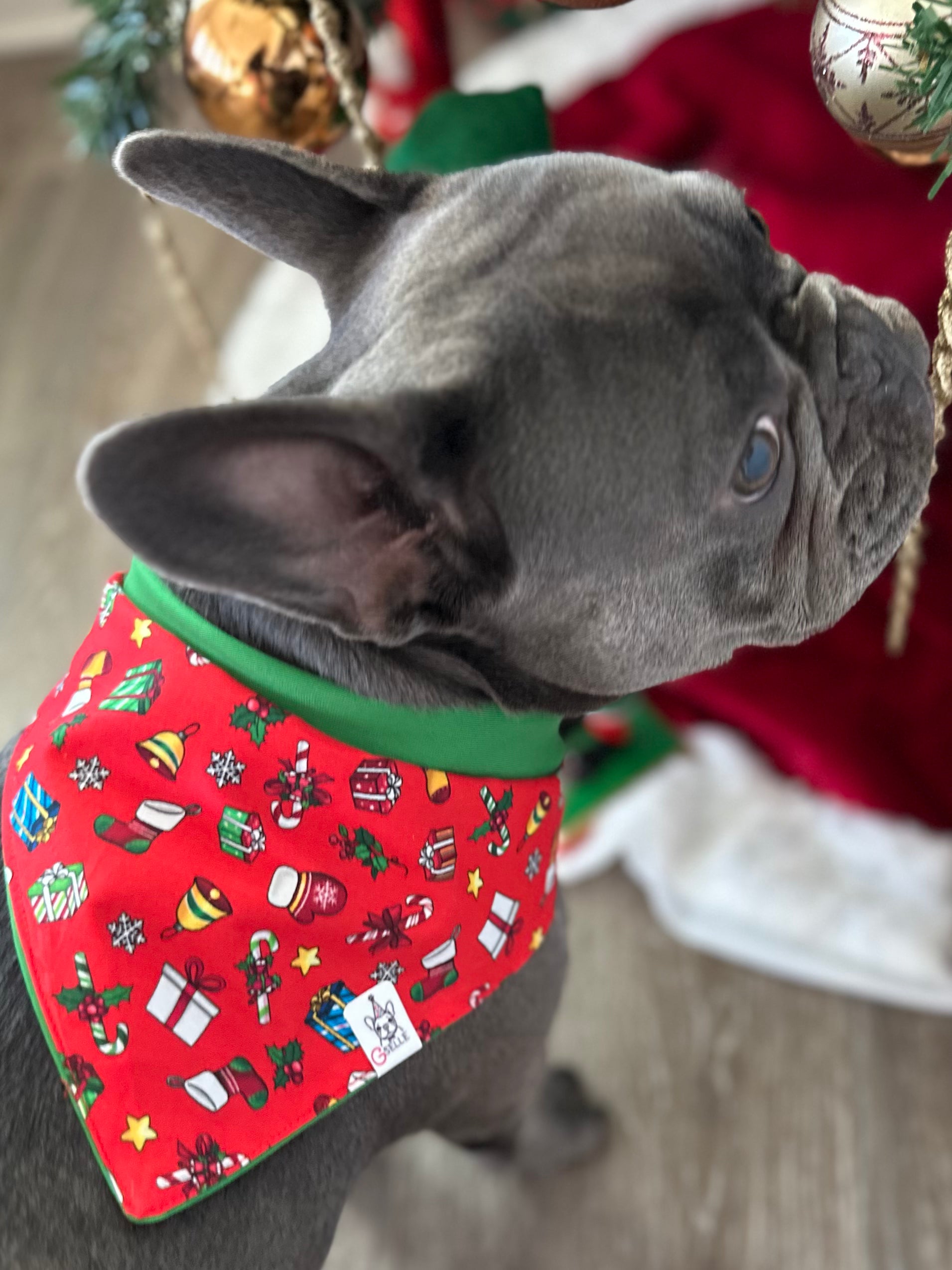 Christmas Bandanas