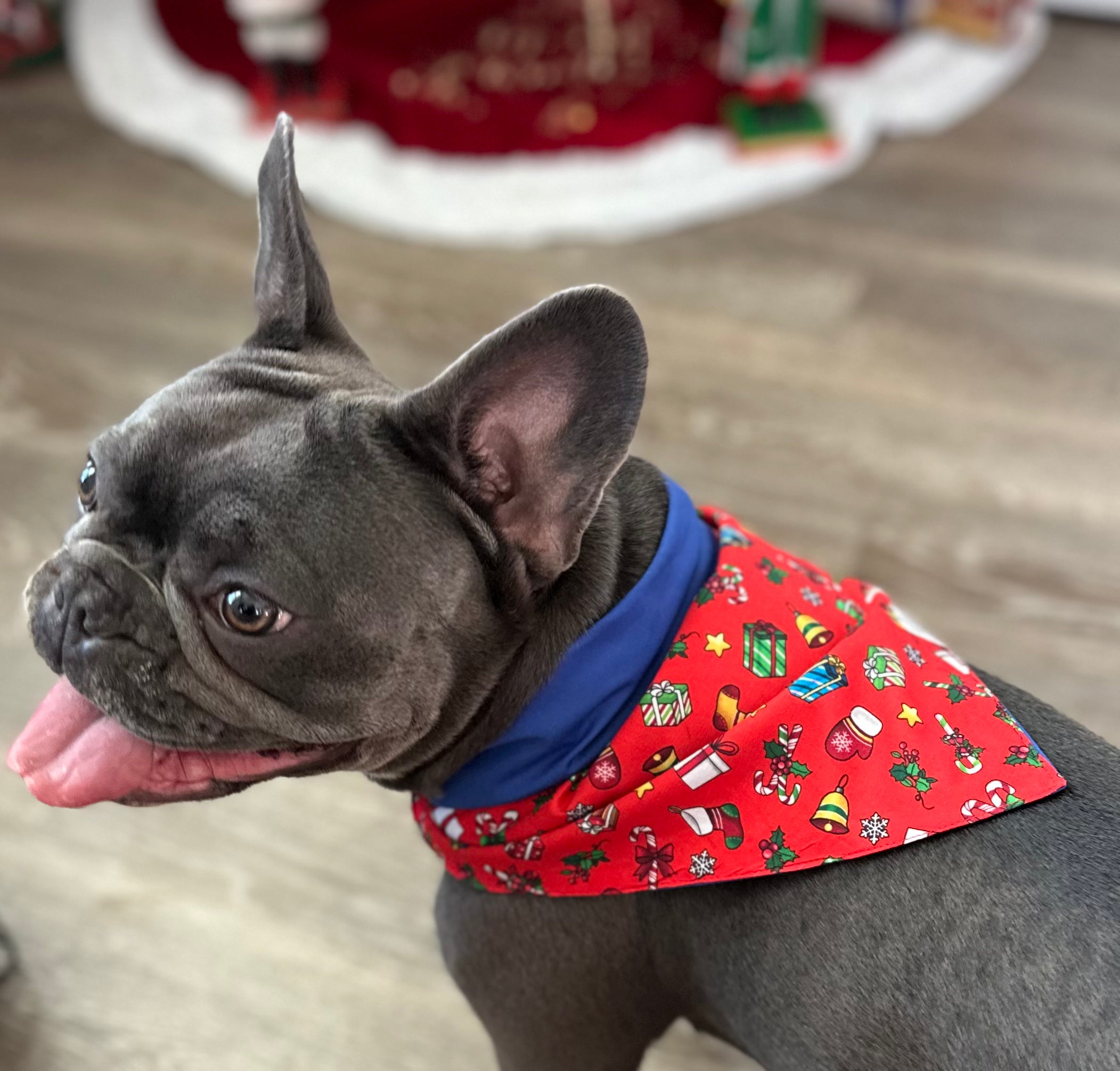 Christmas Bandanas