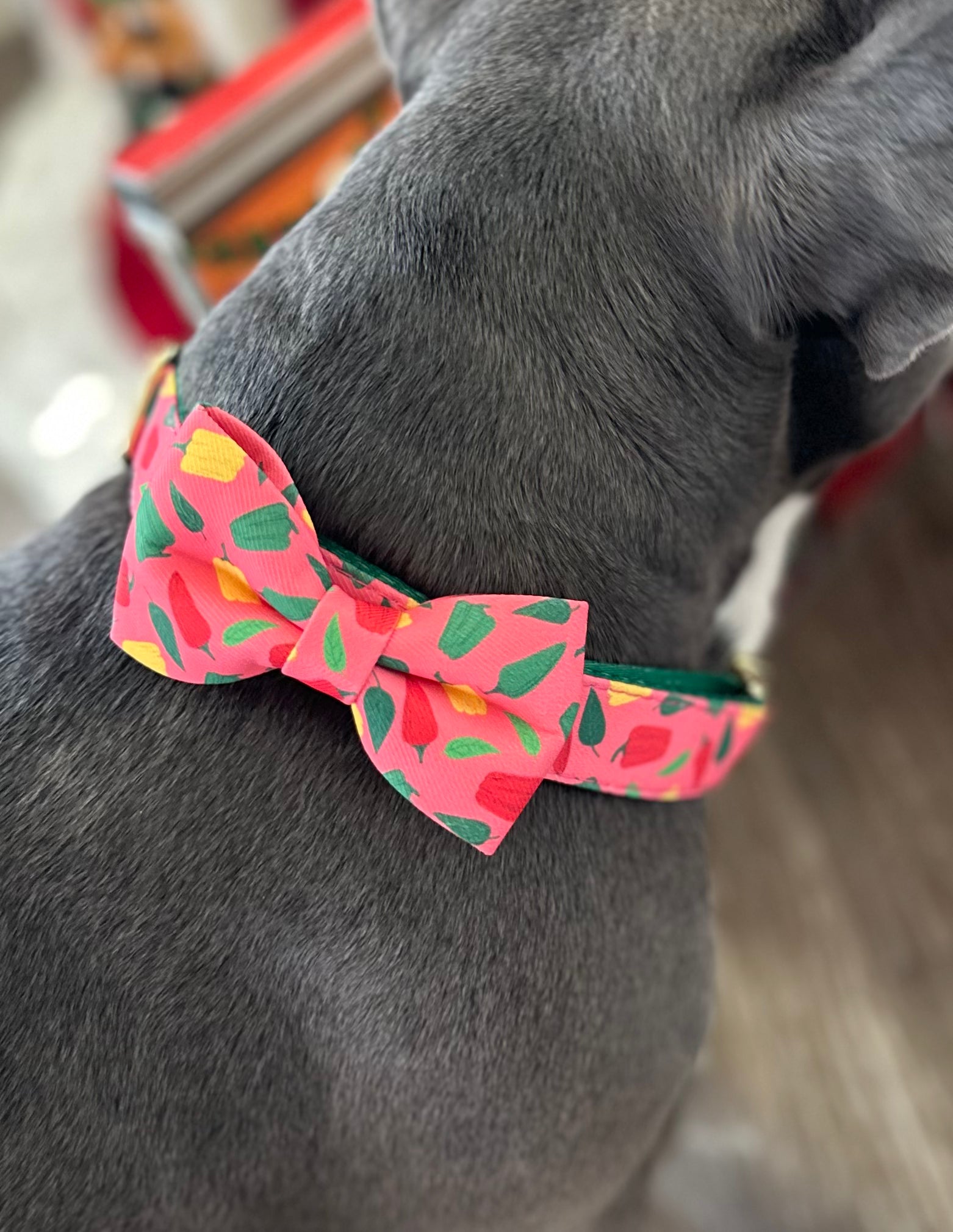 HOT PEPPERS Collection, Adjustable Dog Harness, Leash & more...