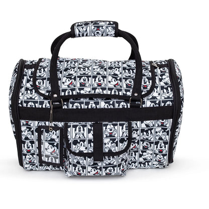 Pet Carrier / Mickey Mouse Expression Blocks