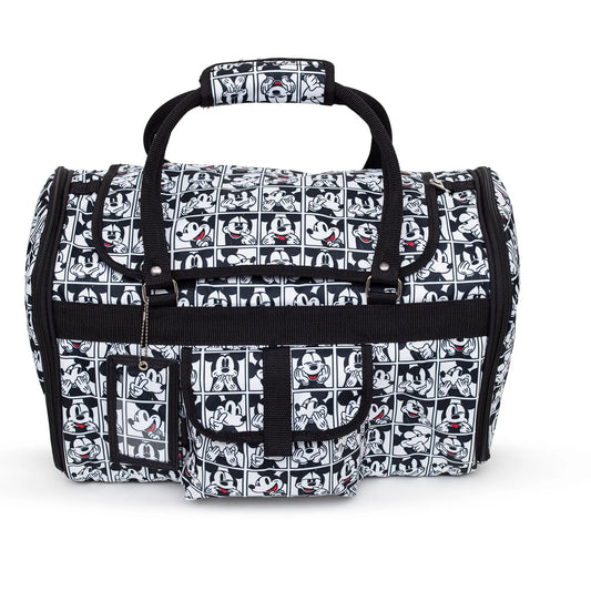 Pet Carrier / Mickey Mouse Expression Blocks