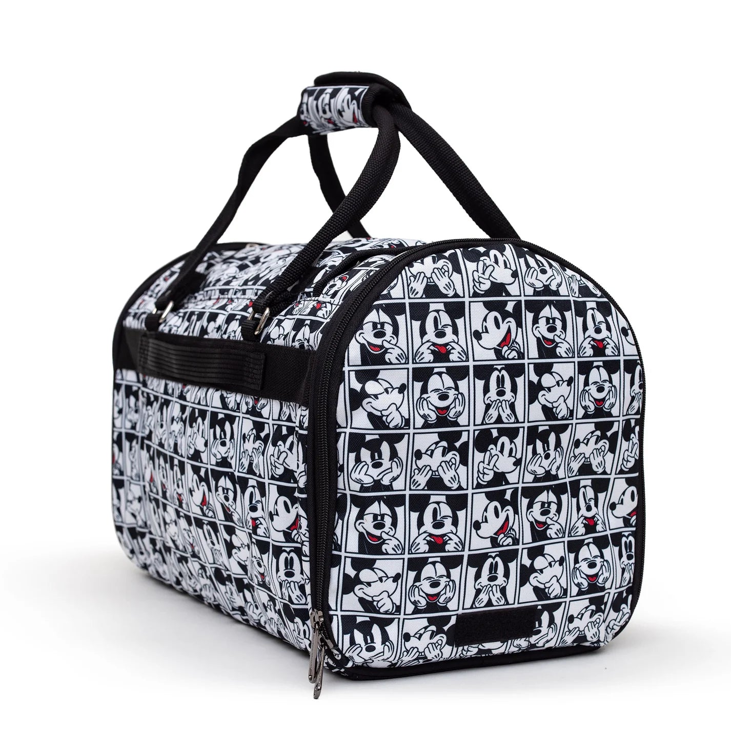 Pet Carrier / Mickey Mouse Expression Blocks