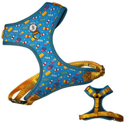 Harness