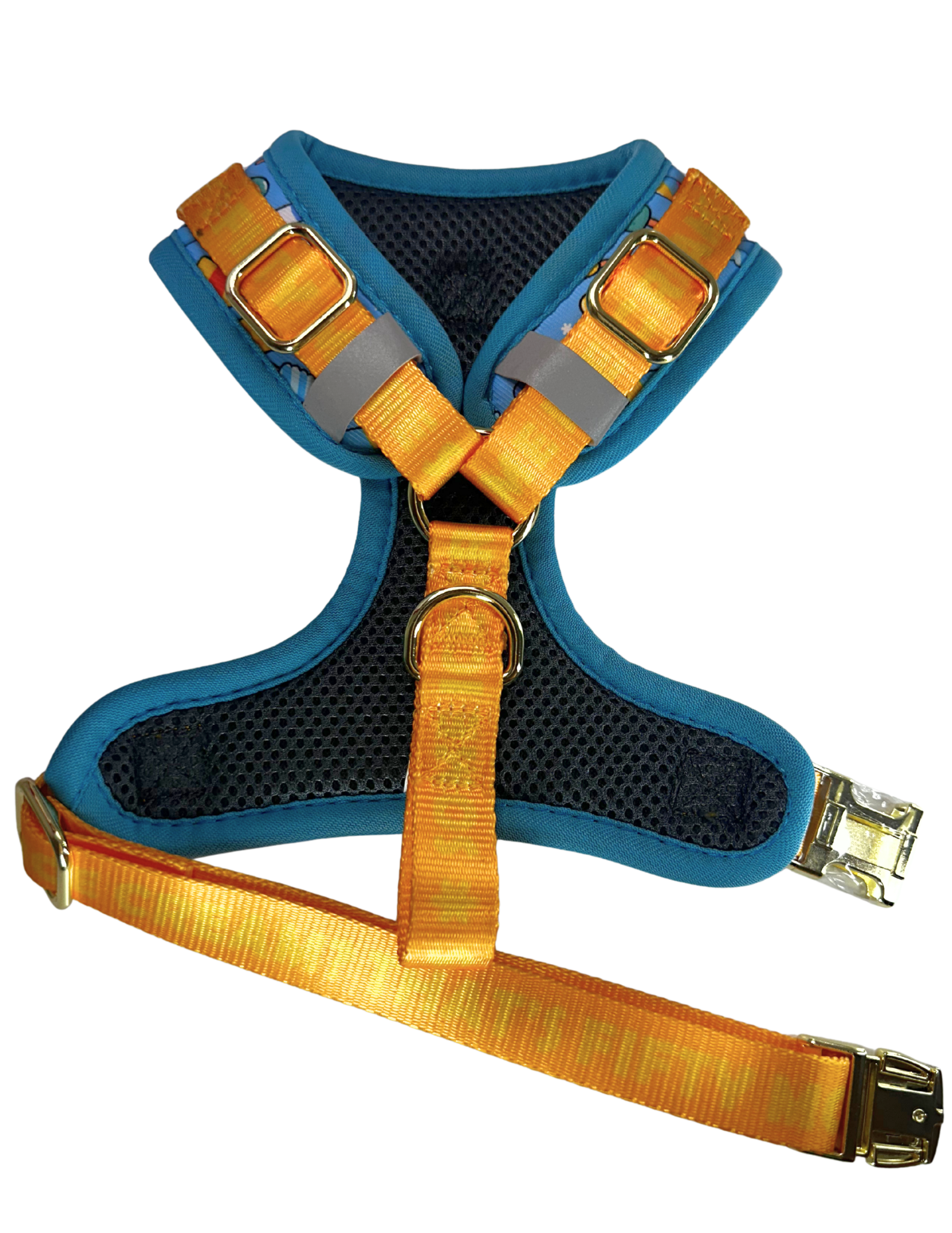 ICE CREAM Collection,  Adjustable Dog Harness, Leash & more...