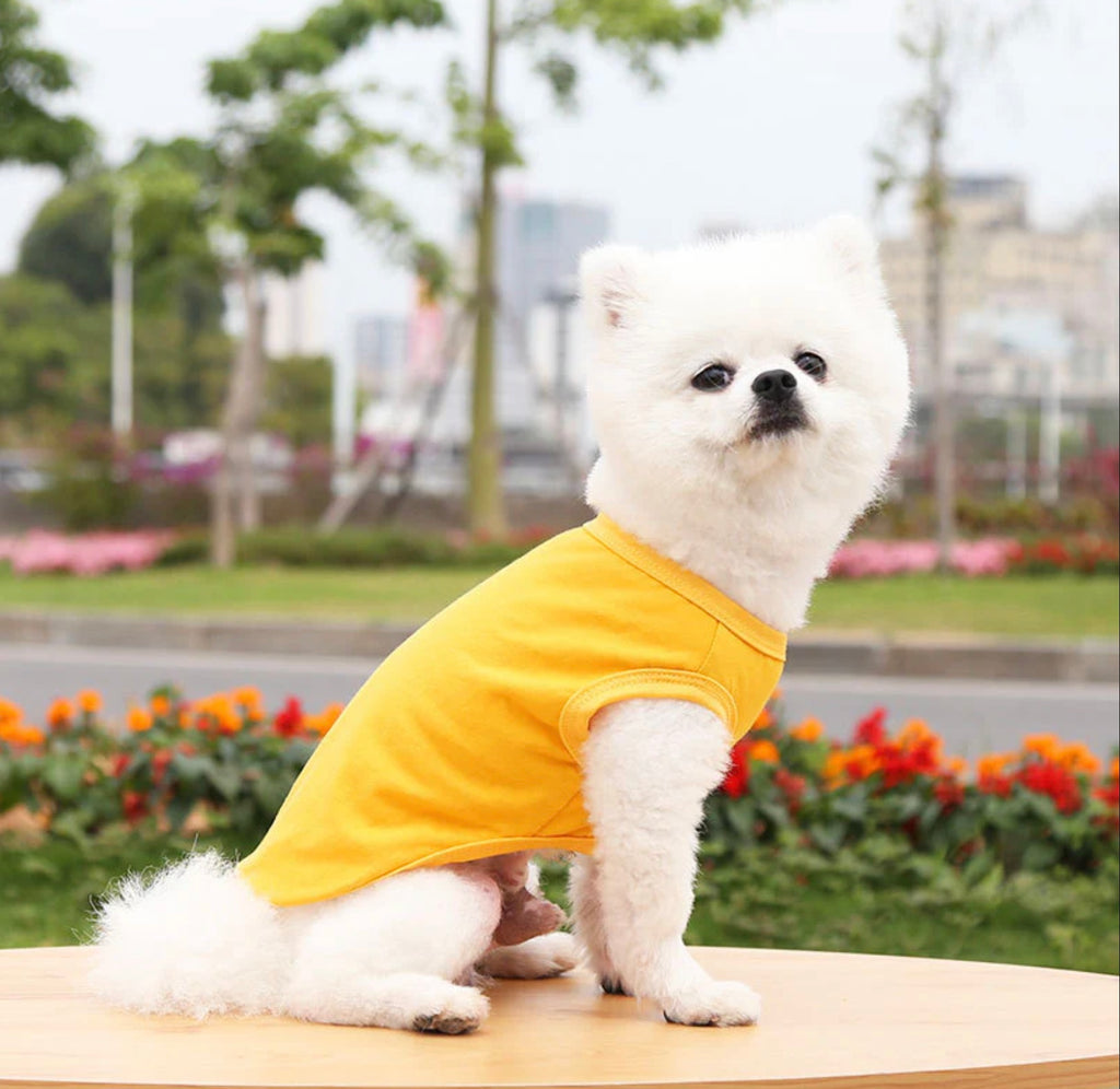 Pet pullover