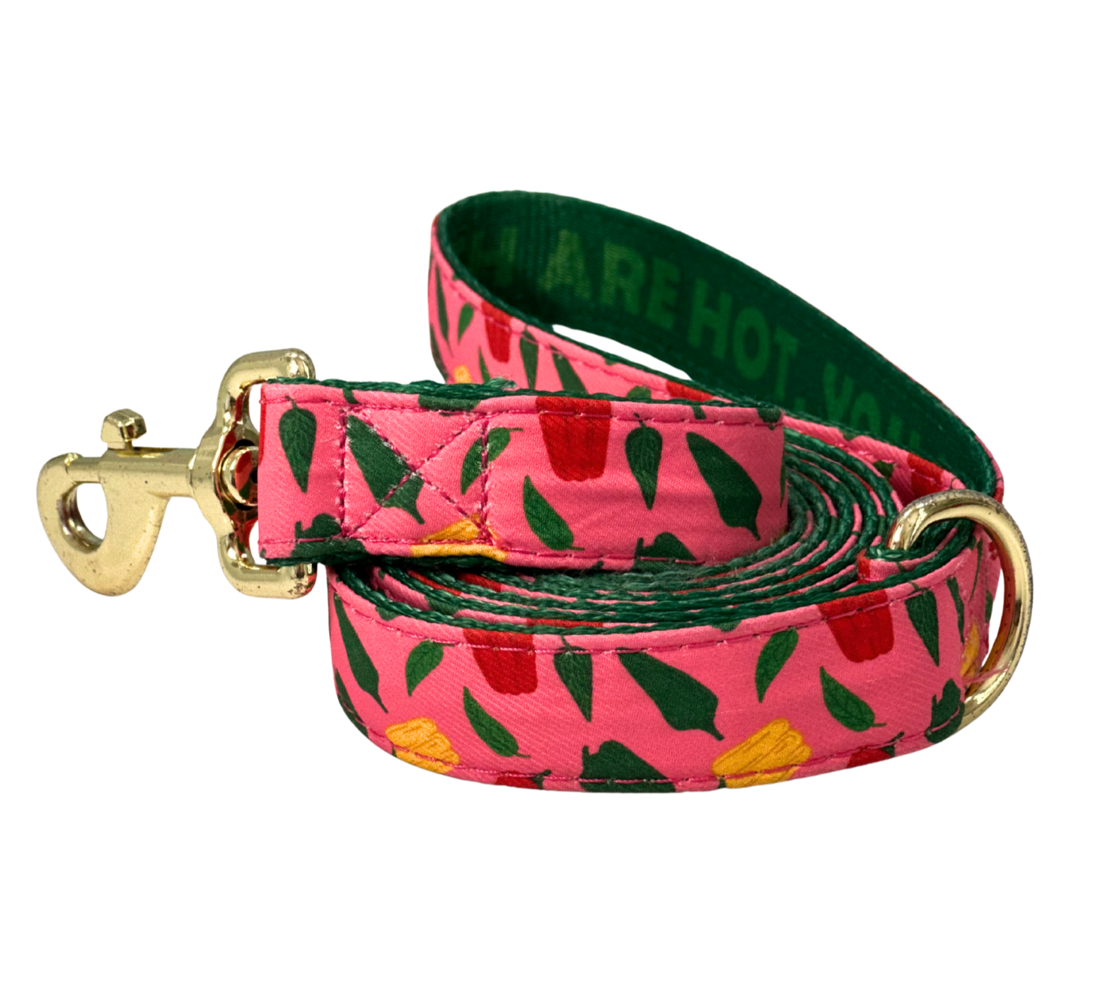 Dog Leash Caribeño Collection, Coral / Green