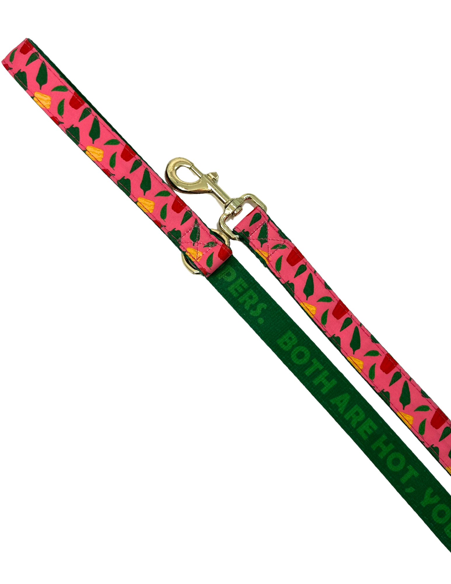 Dog Leash Caribeño Collection, Coral / Green