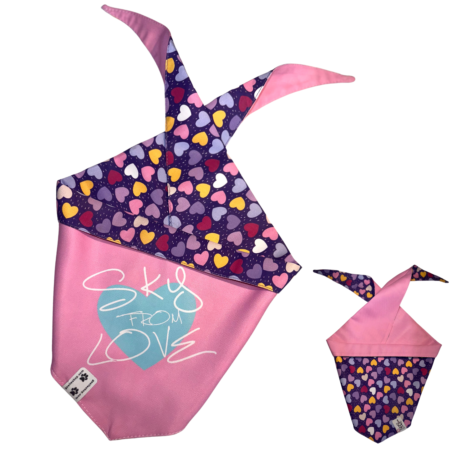 Bandanas (Reversible)