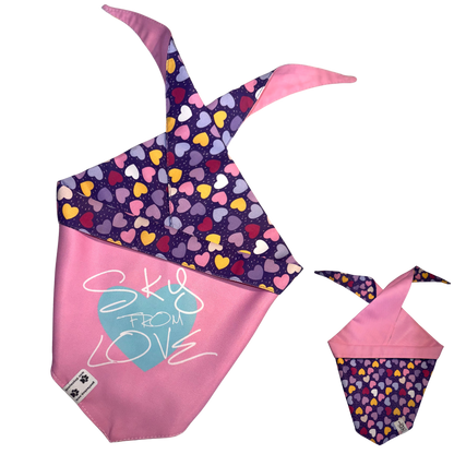 Bandanas (Reversible)