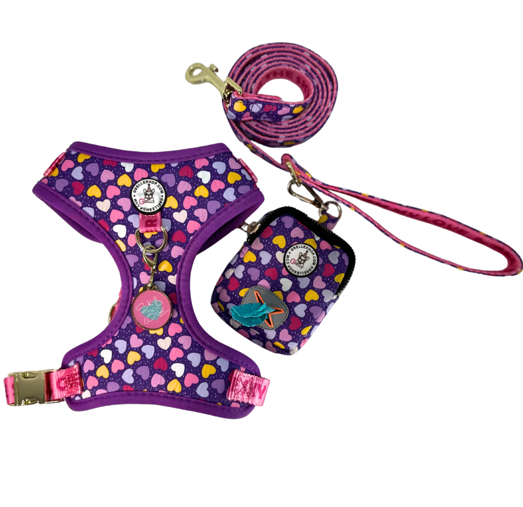 Dog Bundle four piece set, designed especially for pet moms who want it all safety, style, and practicality. This bundle includes everything your pup needs for everyday adventures.

Feature: No Pull, No Choke Harness, Protects your dog’s neck, muscles, and bones with a pressure-distributing design.

⭐️ Ultra-lightweight material for comfy all-day wear.

⭐️ Quick-release buckle + adjustable straps easy to put on and take off. 
