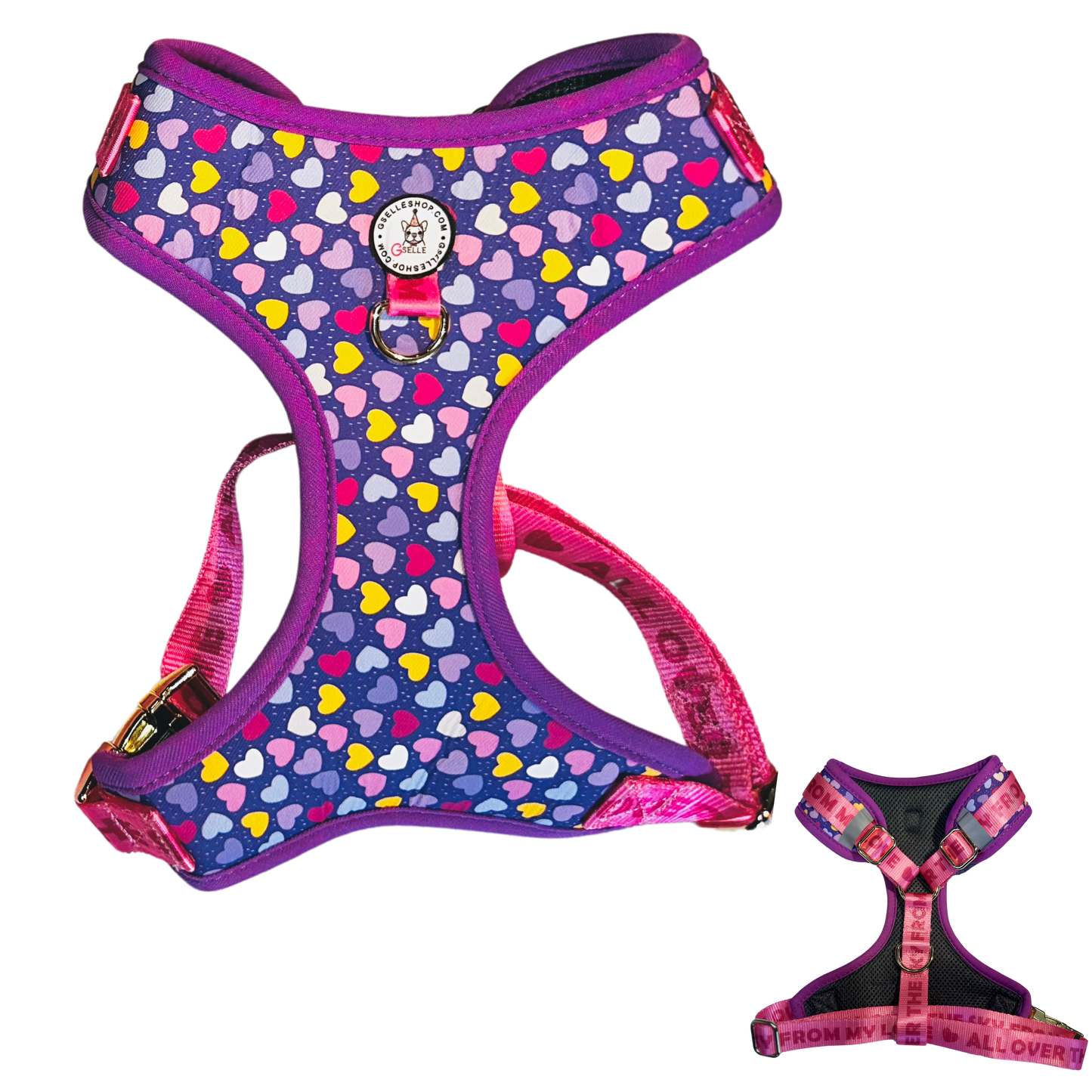 Harness