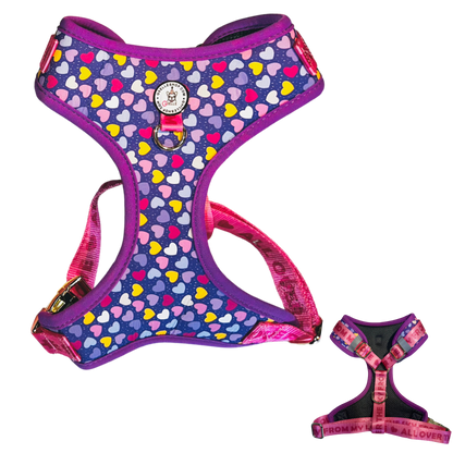 Harness