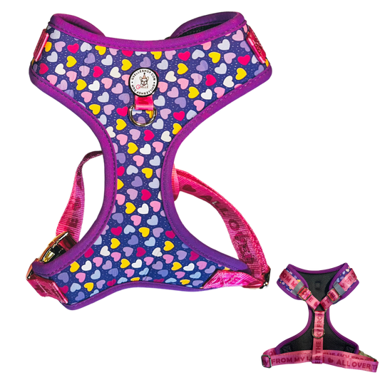 Harness
