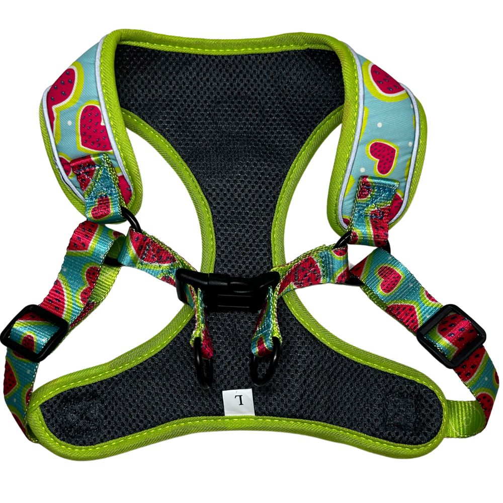 Melon Heart Dog Harness