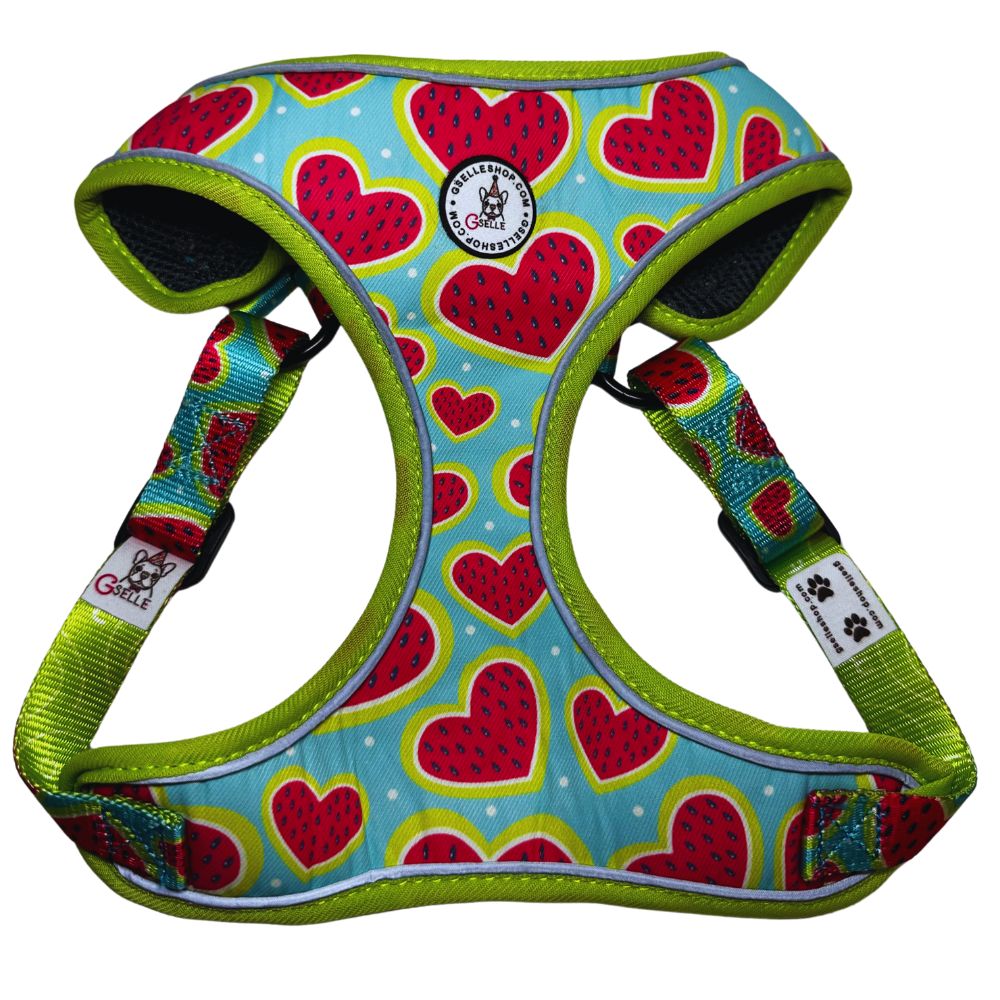 Melon Heart Dog Harness