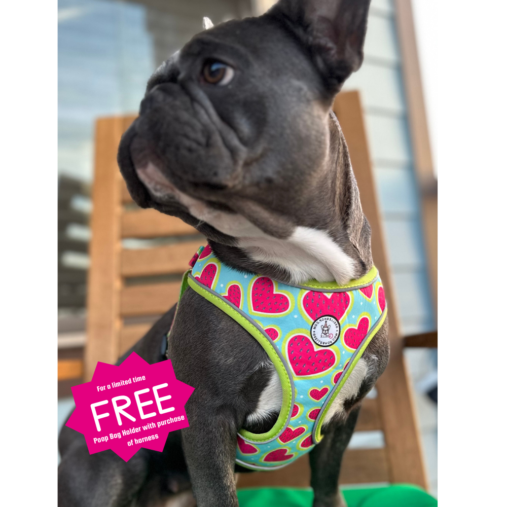 Melon Heart Dog Harness