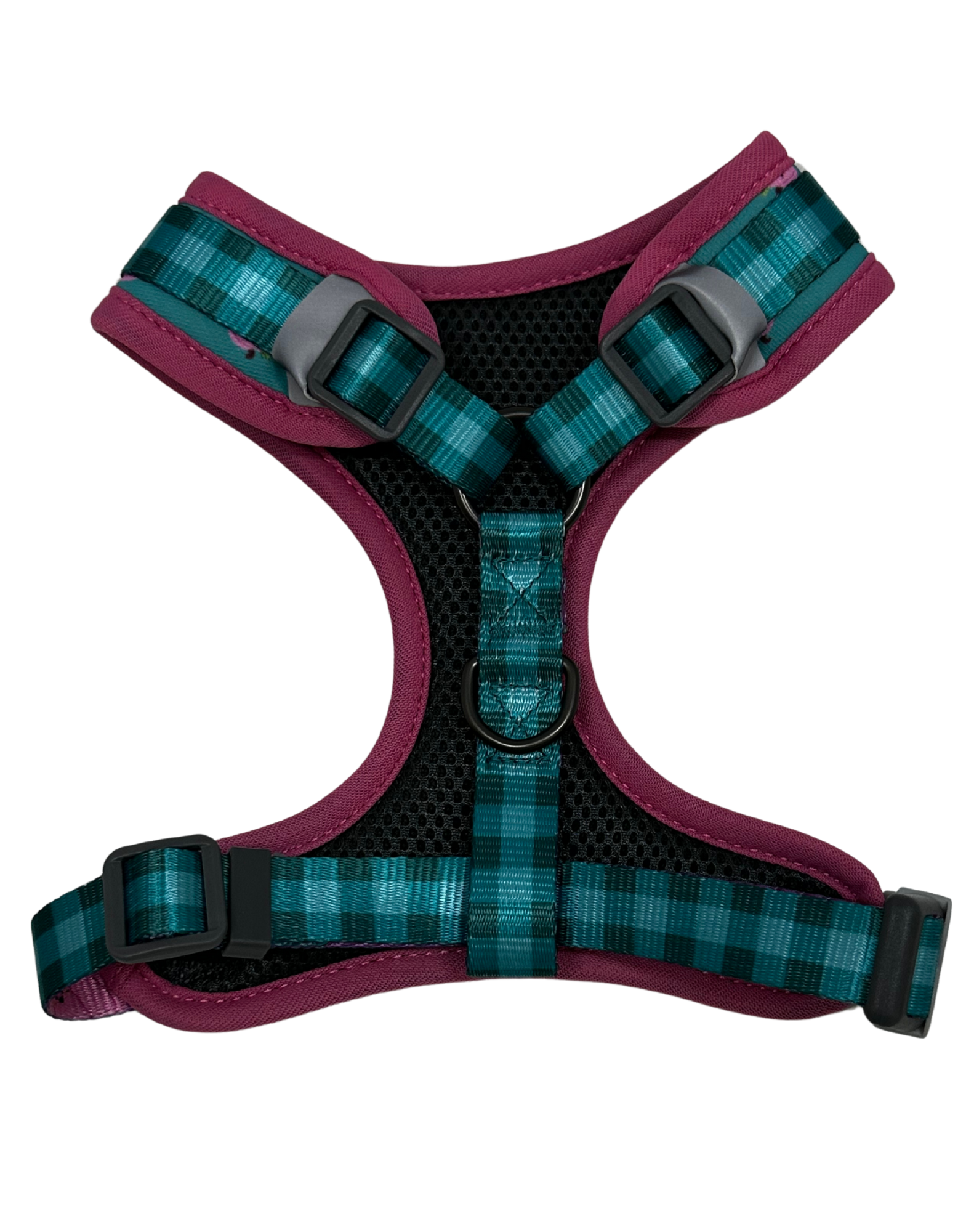 Spring Collection Dog Harness