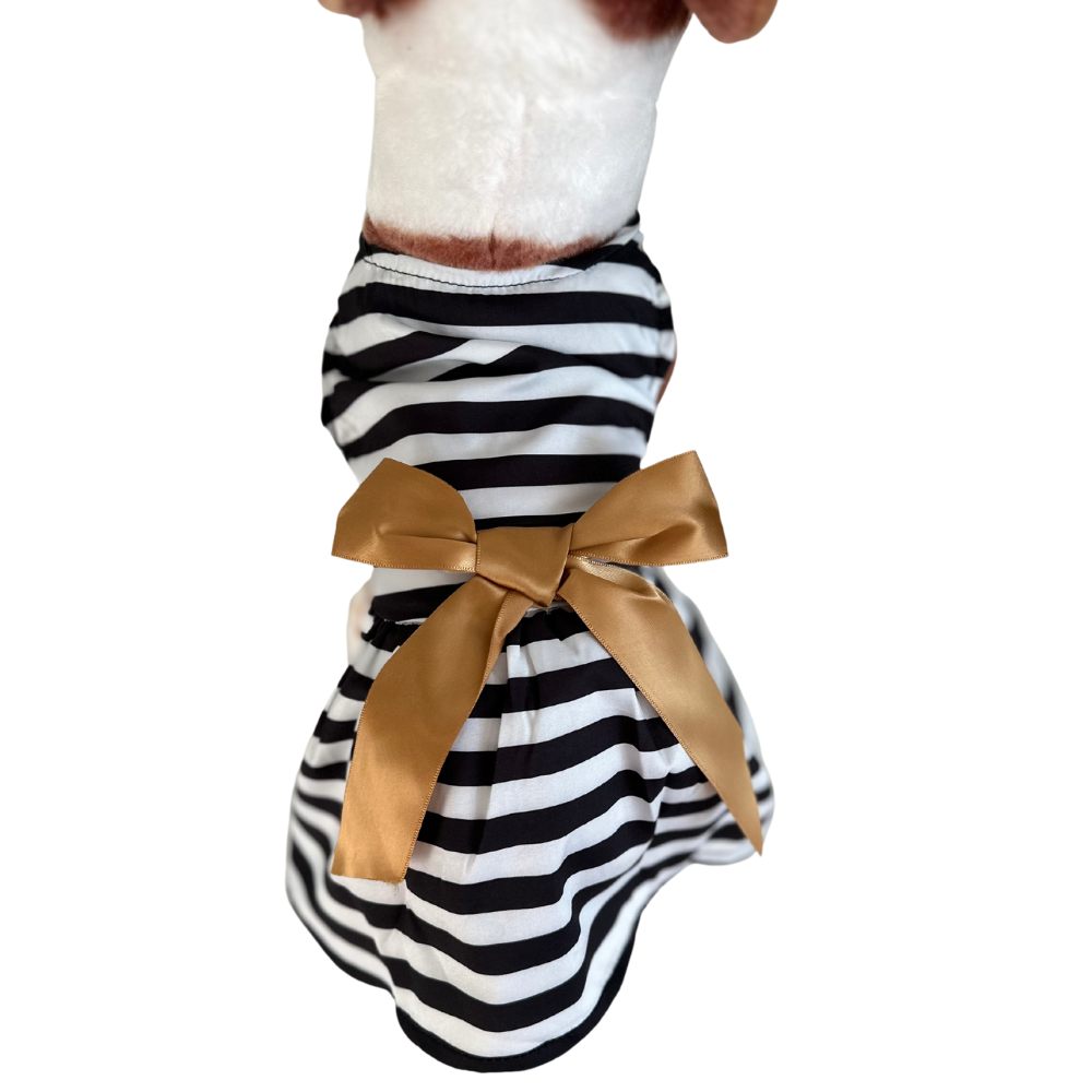 Dog Dresses