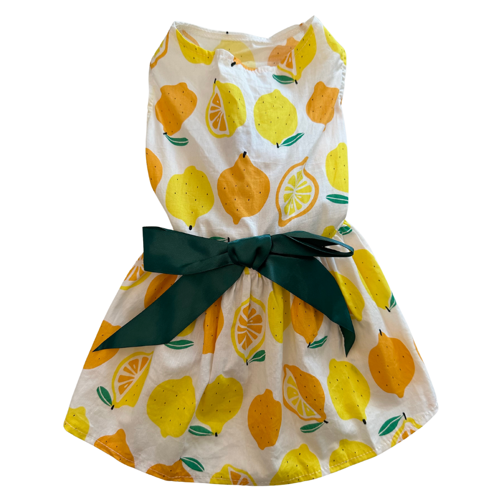 Dog Dresses