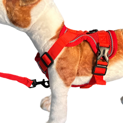 Reflective Pet Harness Set