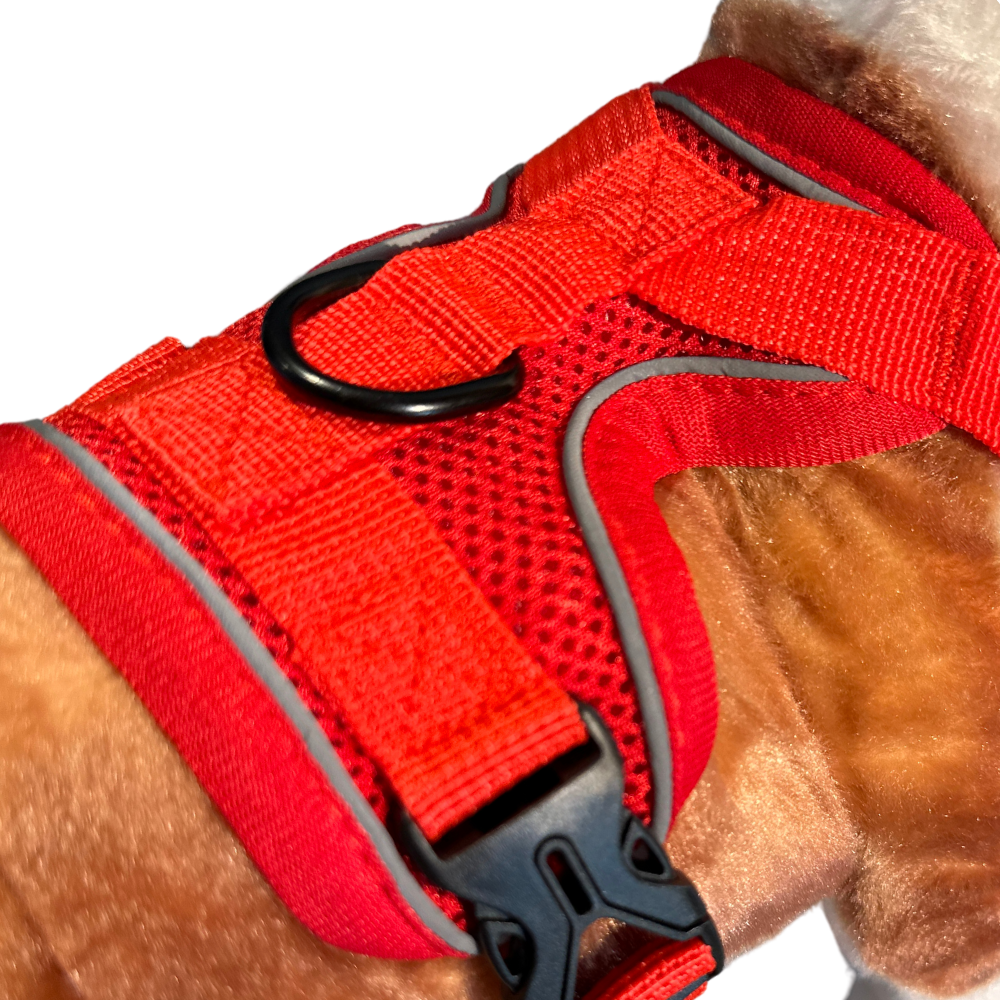 Reflective Pet Harness Set