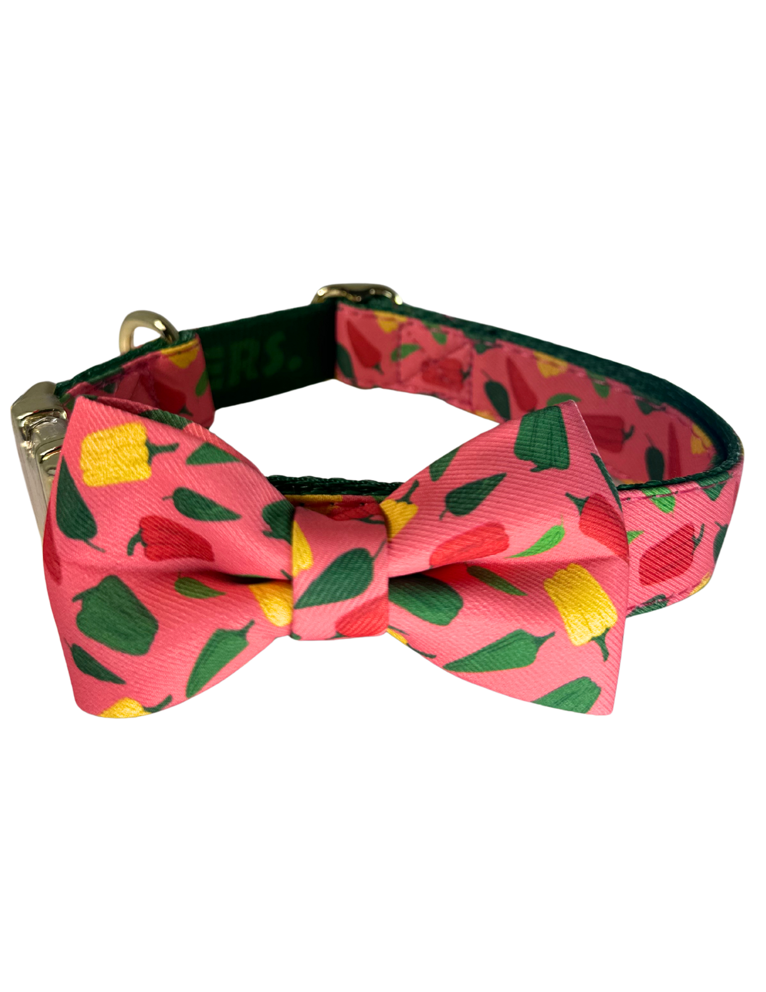 CUTE Five Piece Dog Bundle