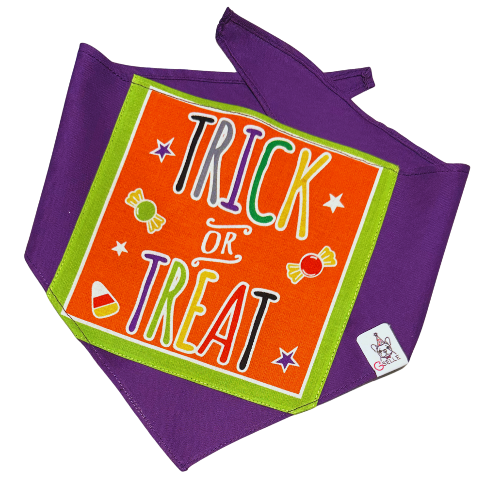 These handmade Halloween pet bandanas are the pawfect accessory for your furry friend this spooky season. 🐾✨ Carefully crafted with love and detail, each bandana adds a fun and festive touch that will make your pup the star of Halloween. 🎃👻
