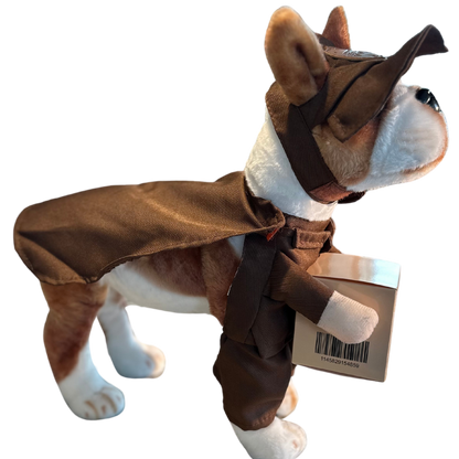 Delivery Pet Costume
