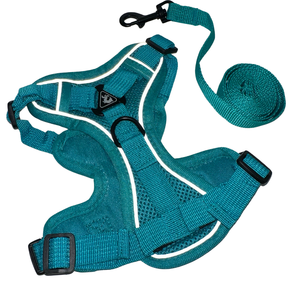 Reflective Pet Harness Set