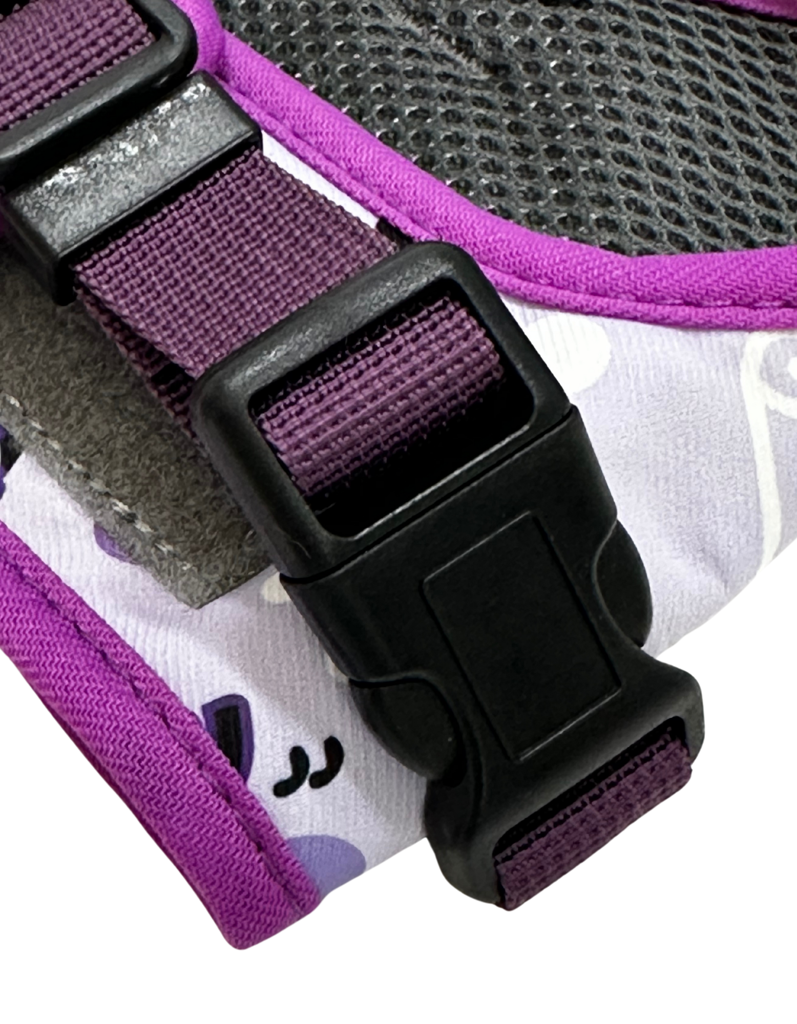 Spring Collection Dog Harness