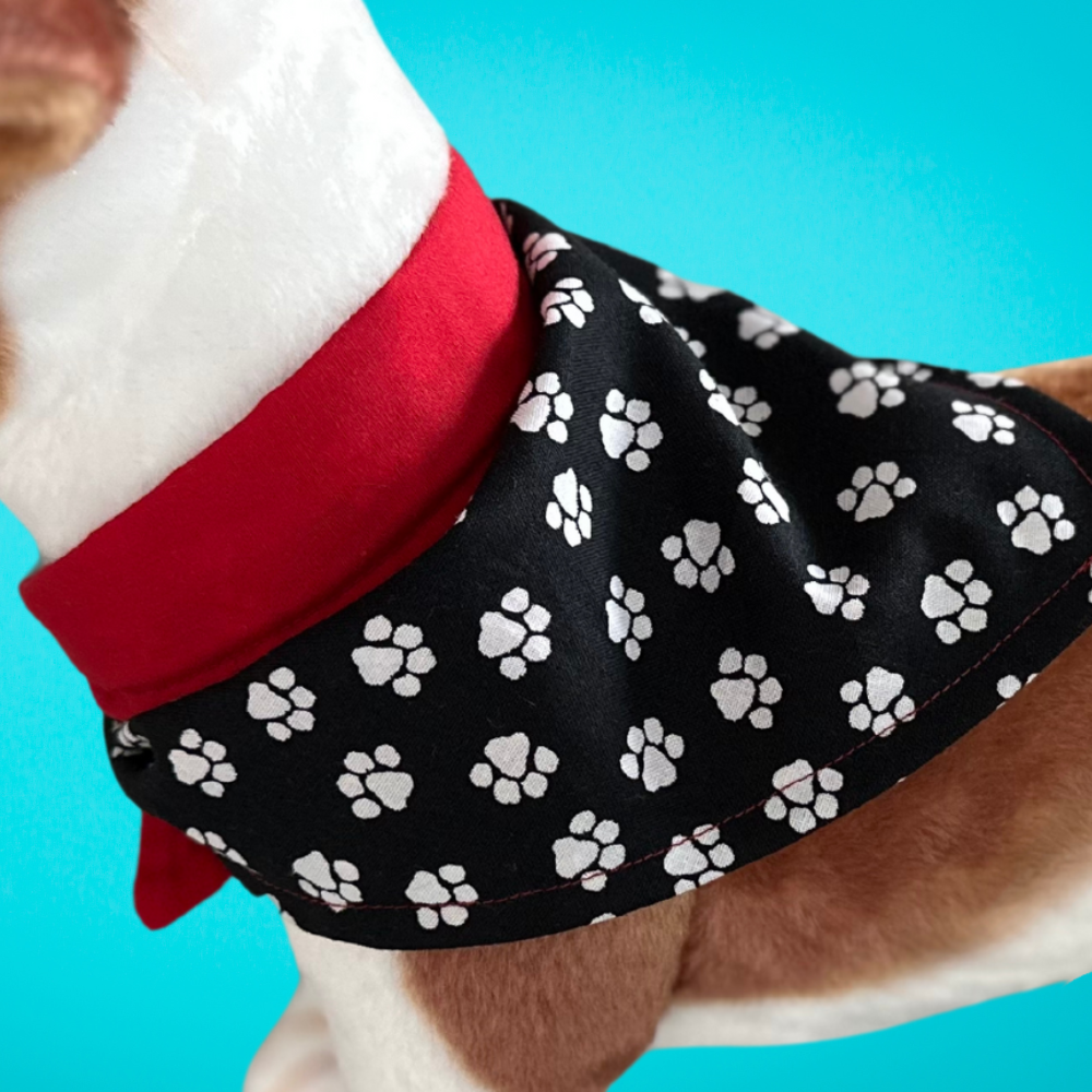 Bandanas (Reversible)