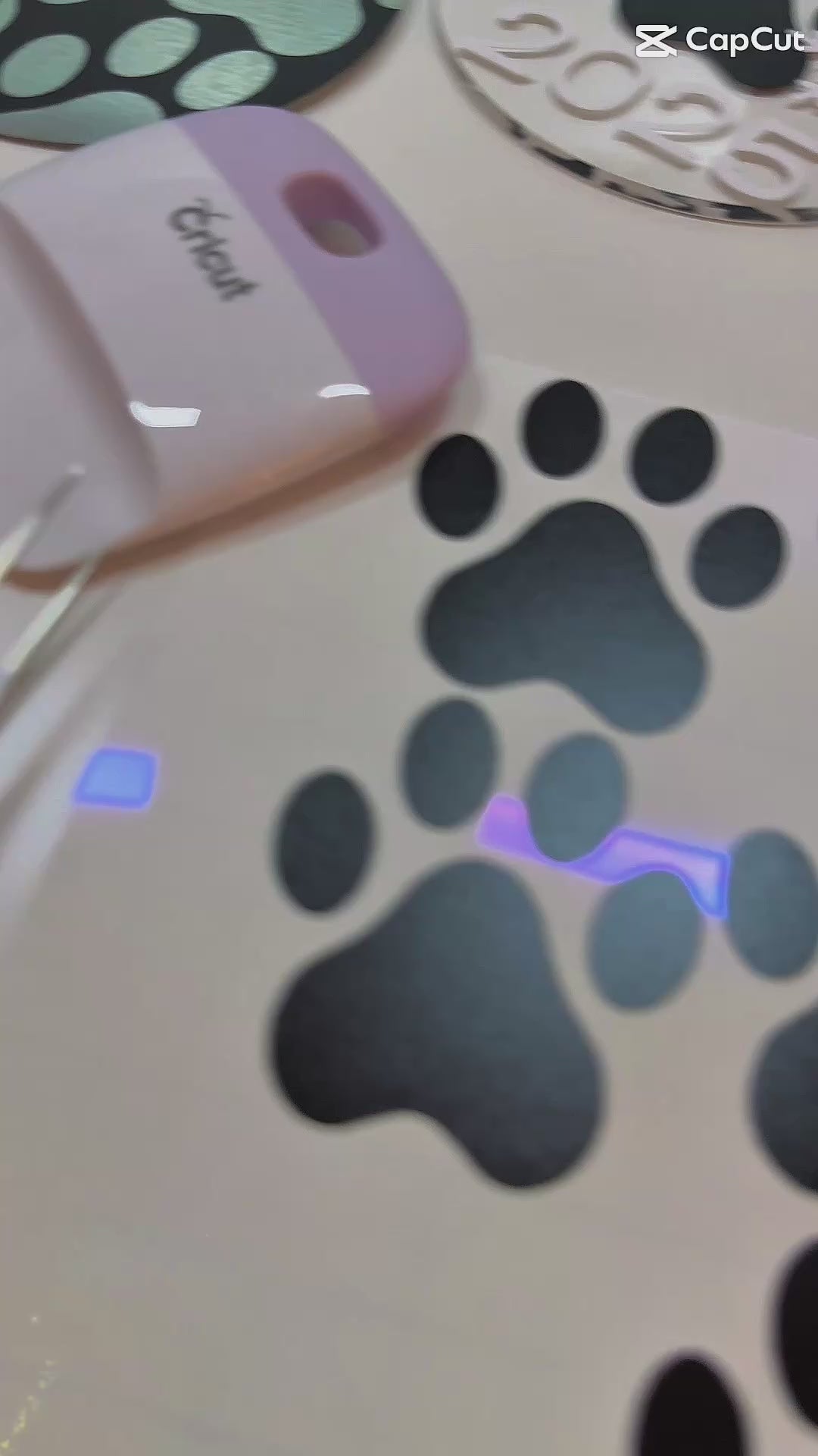 Acrylic Holiday Pet Ornament