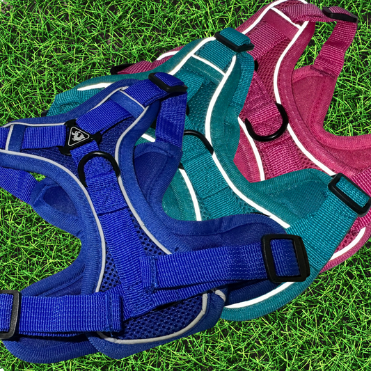 Reflective Pet Harness Set